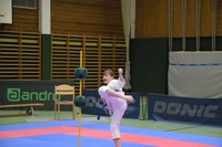 Landesmeisterschaft 2026